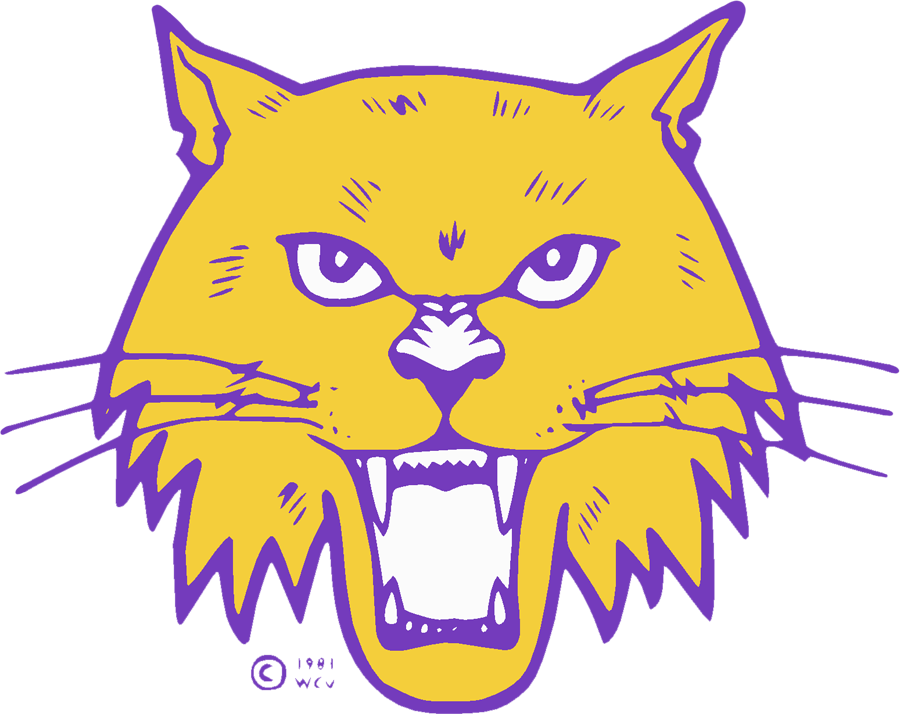 Western Carolina Catamounts 1981-1996 Secondary Logo DIY iron on transfer (heat transfer)